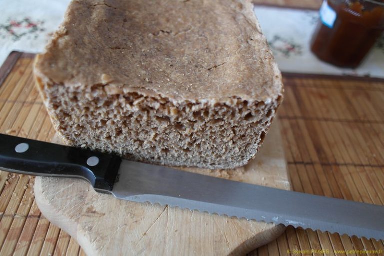 Recette pain de petit épeautre à la MAP (machine à pain) hyper simple